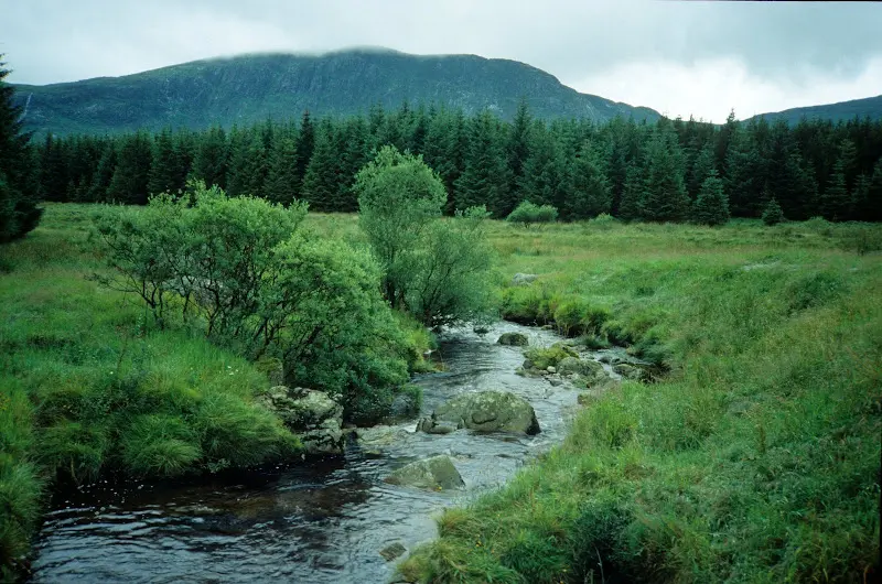 Frankreich, England, Schottland, Irland 1993 – Foto 12
