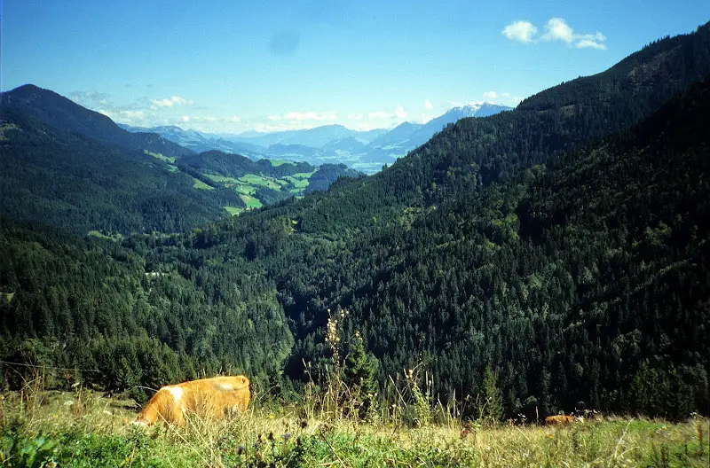 Sudelfeld 1994-1995 – Foto 2