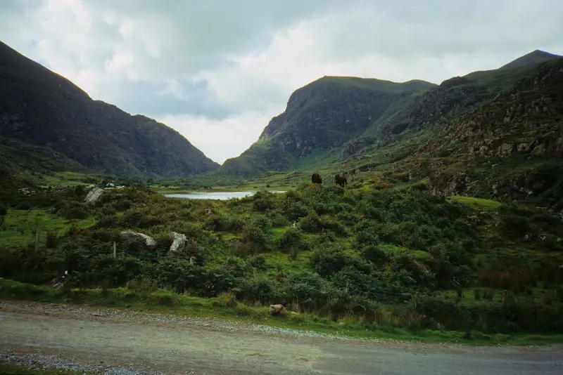 Irland 1995 – Foto 9
