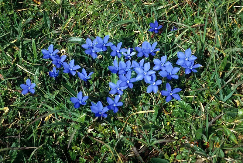 Karwendel 1996 – Foto 7