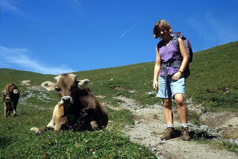 Karwendel 1996 – Foto 8