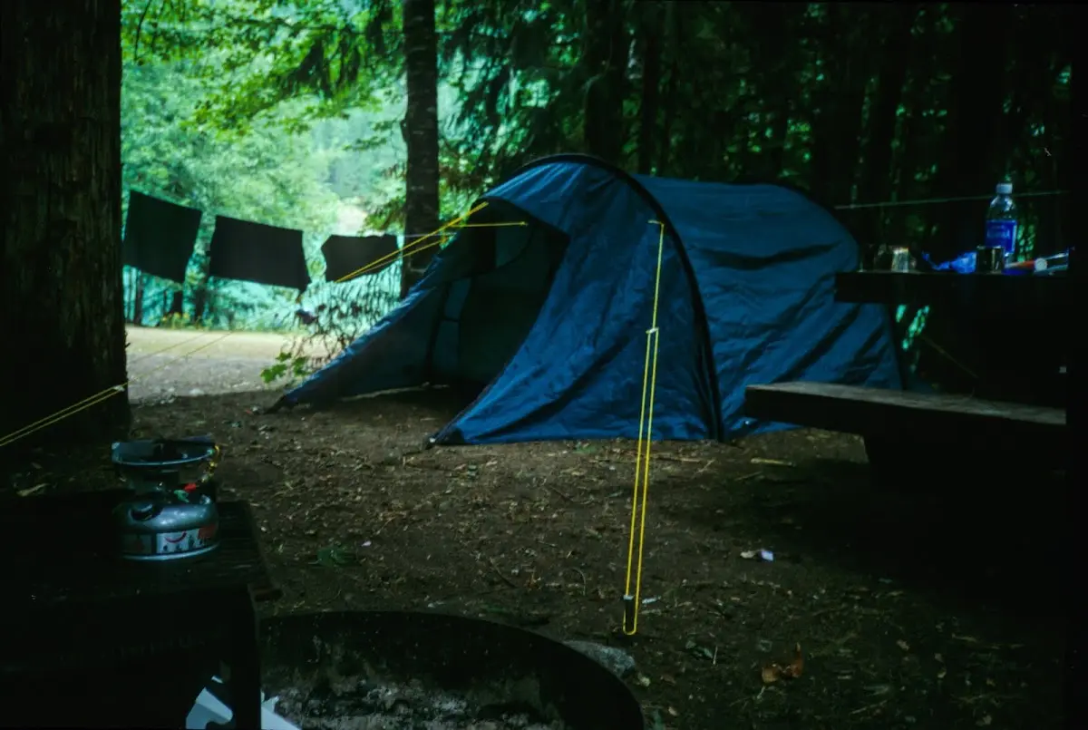 Blaues Kuppelzelt mit Wäscheleine zwischen Bäumen auf einem Zeltplatz im Wald