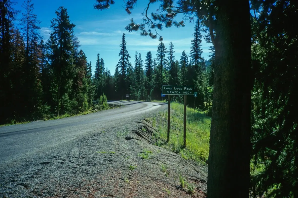 Schmale Straße im Nadelwald mit einem Passschild am Straßenrand