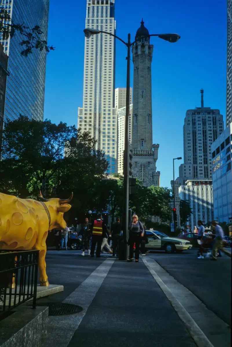 Chicagos Wasserturm zwischen Hochhäusern, links eine gelbe Kuh-Skulptur