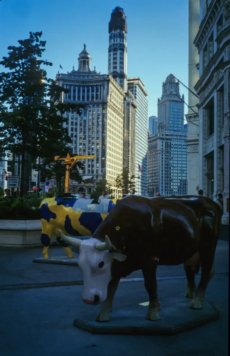 Braune Kuh-Skulptur vor Chicagoer Hochhäusern
