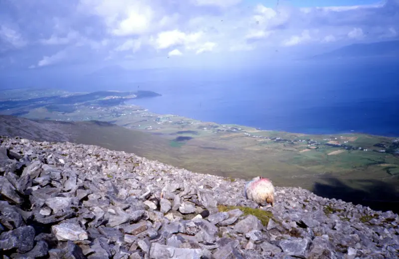 Irland 2000 – Foto 2