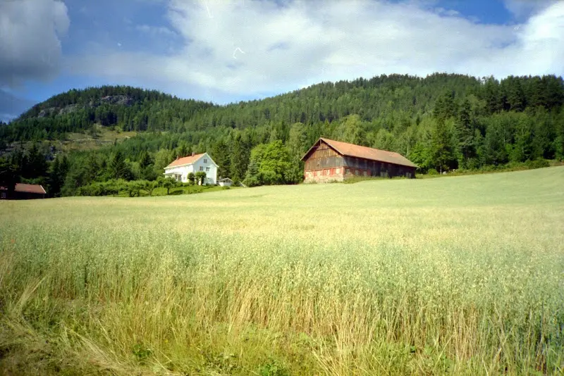 Etwas spät im Sommer für Norwegen und nach wenigen Tagen in… – Foto 2