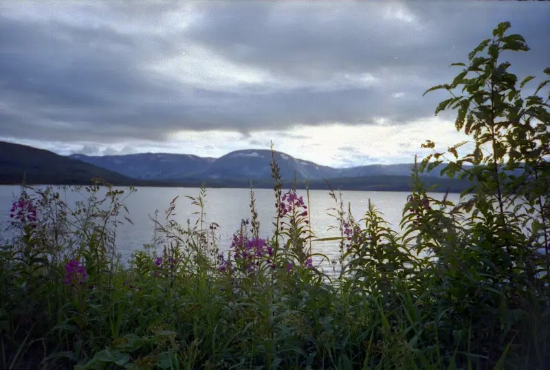 Etwas spät im Sommer für Norwegen und nach wenigen Tagen in… – Foto 15