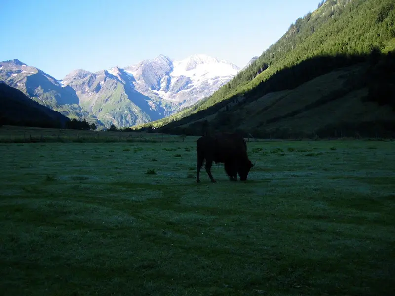 Gerlos und Großglockner – Foto 5