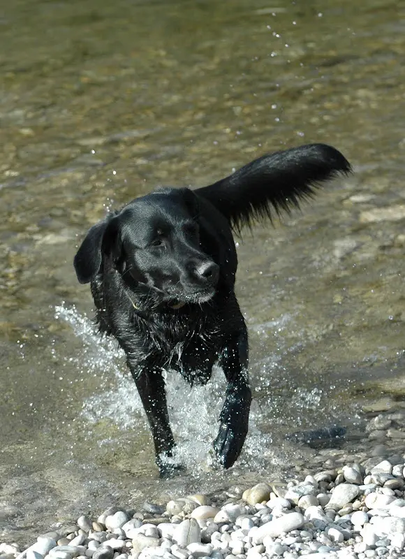 Bilder von der Isar – Foto 54