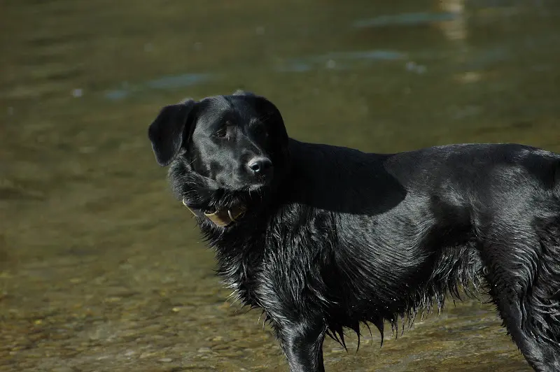 Bilder von der Isar – Foto 52