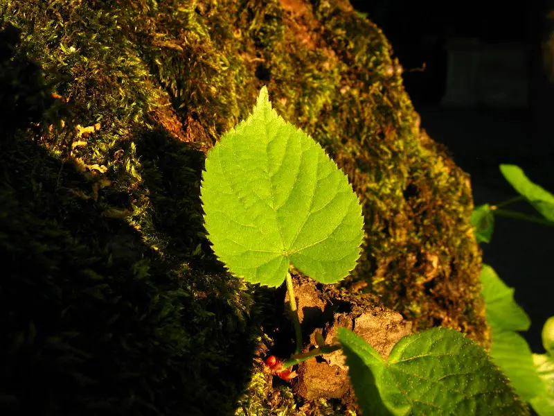 Kleine Ausflüge in M nach der Arbeit – Foto 12