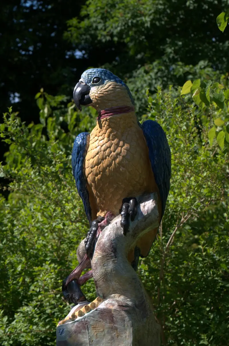 Botanischer Garten Mai 2009 – Foto 33