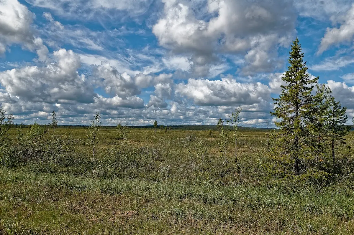 Gällivare – photo 4