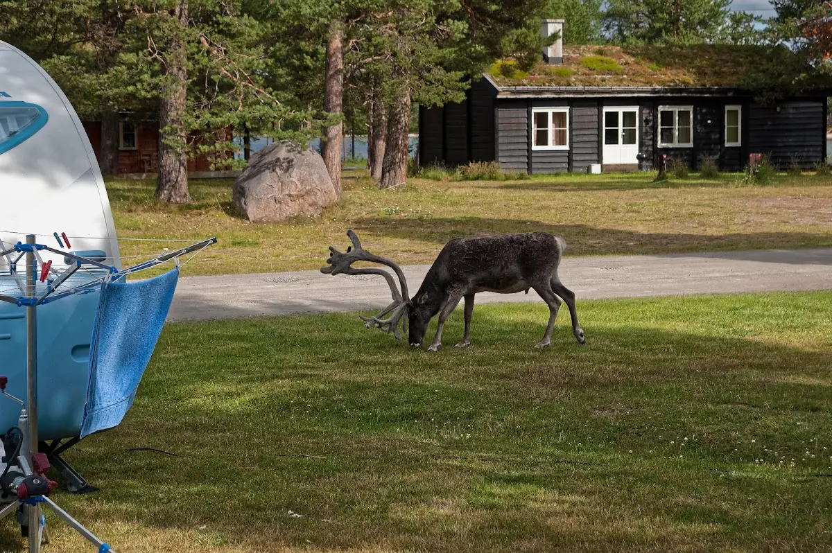 Lofsdalen – photo 11