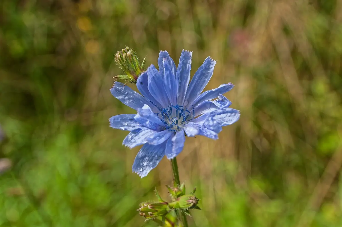 Urshult – photo 4
