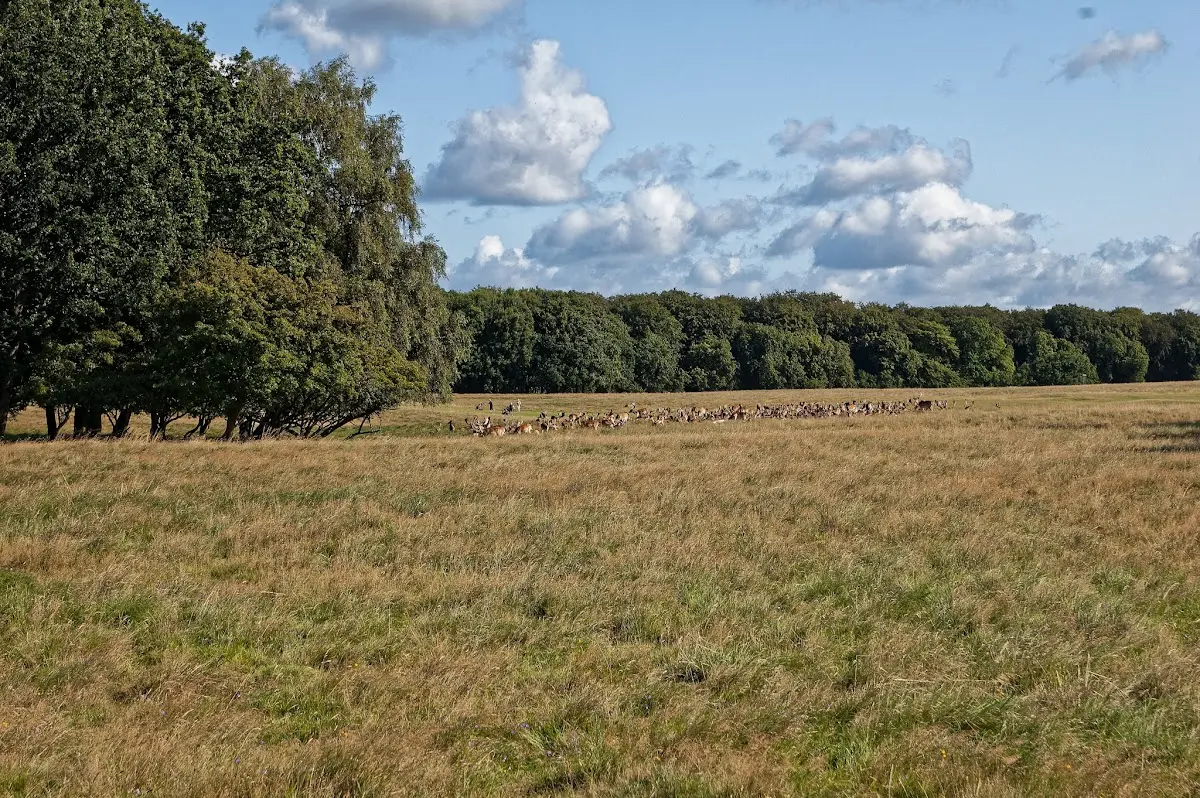 Copenhagen – photo 2