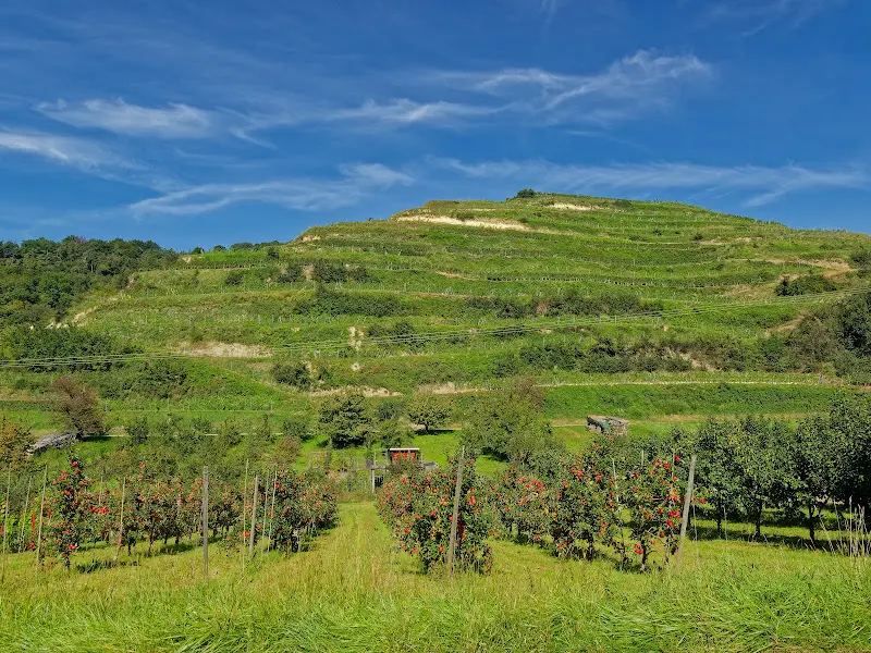 Kaiserstuhl und Straßburg – Foto 1