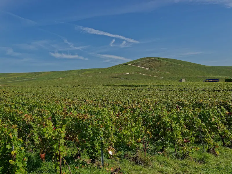 Champagne – Foto 1