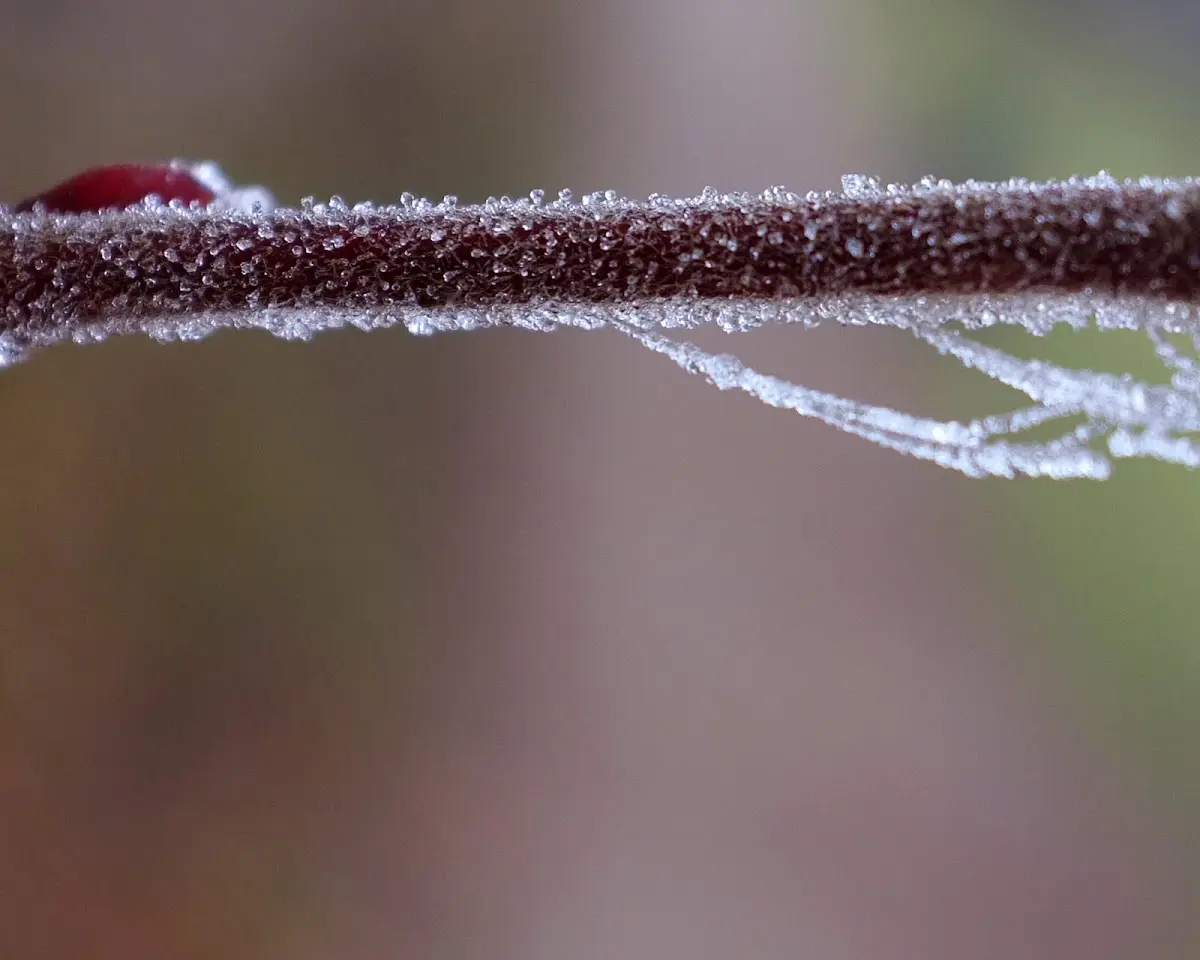 heute morgen dachte ich sogar kurz daran eine lange Hose anz… – Foto 2