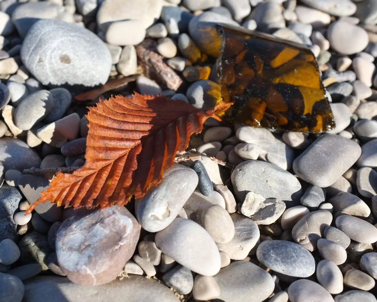 ein paar Bilder von heute nachmittag von einer kleinen Radto… – Foto 3
