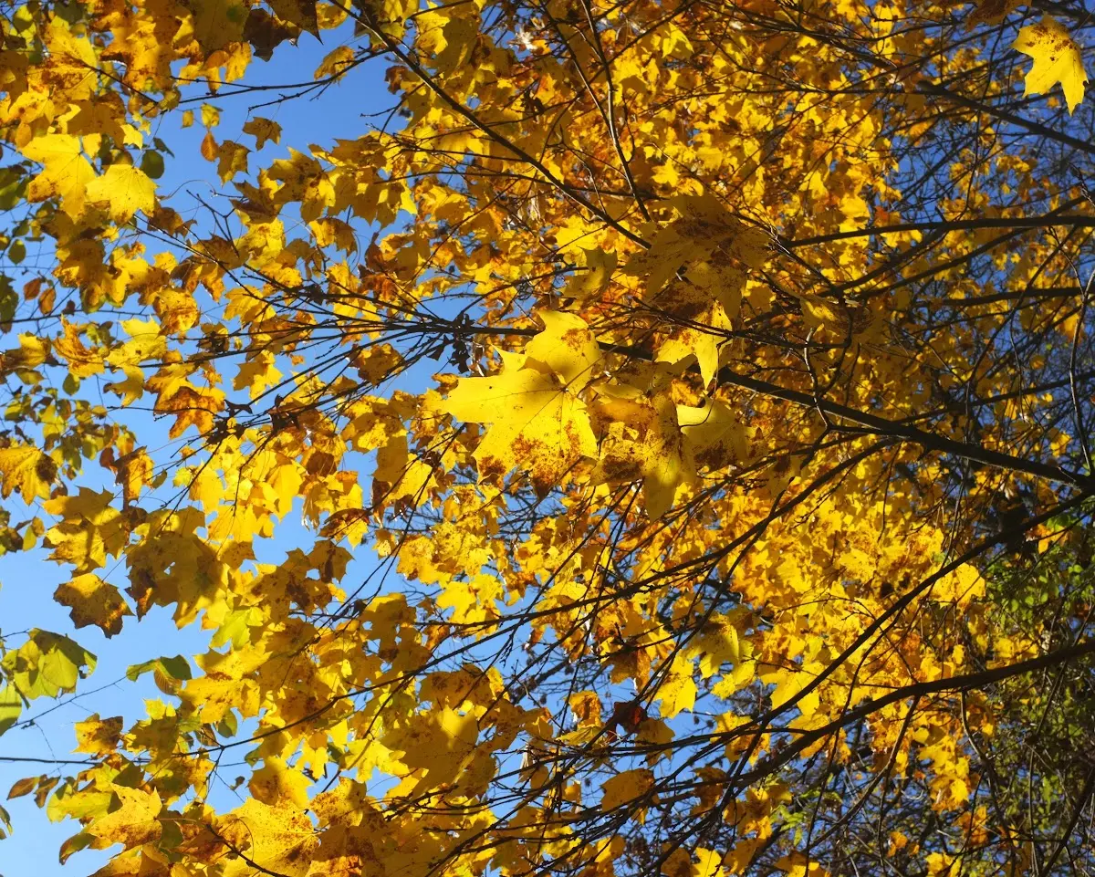 ein paar Bilder von heute nachmittag von einer kleinen Radto… – Foto 6