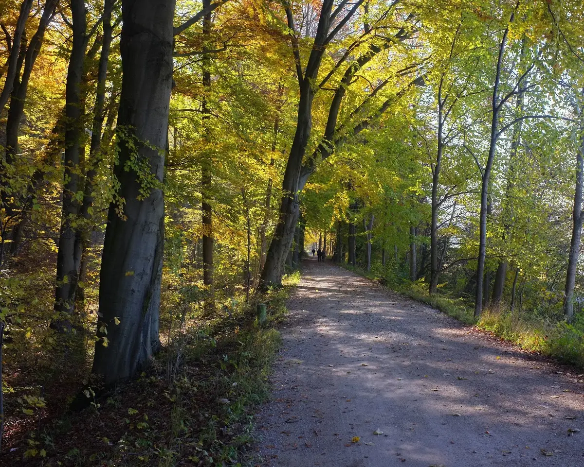 ein paar Bilder von heute nachmittag von einer kleinen Radto… – Foto 7