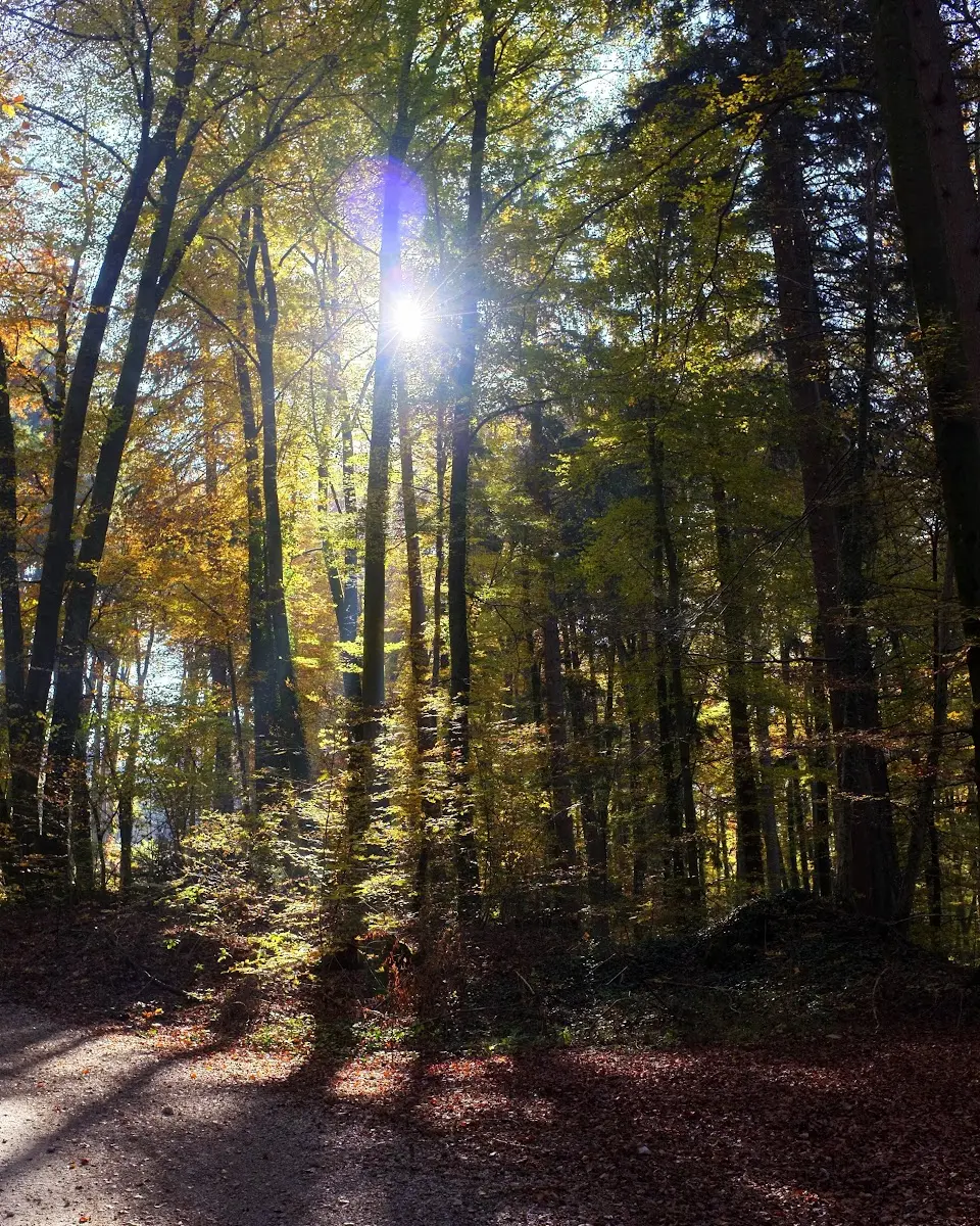 ein paar Bilder von heute nachmittag von einer kleinen Radto… – Foto 8