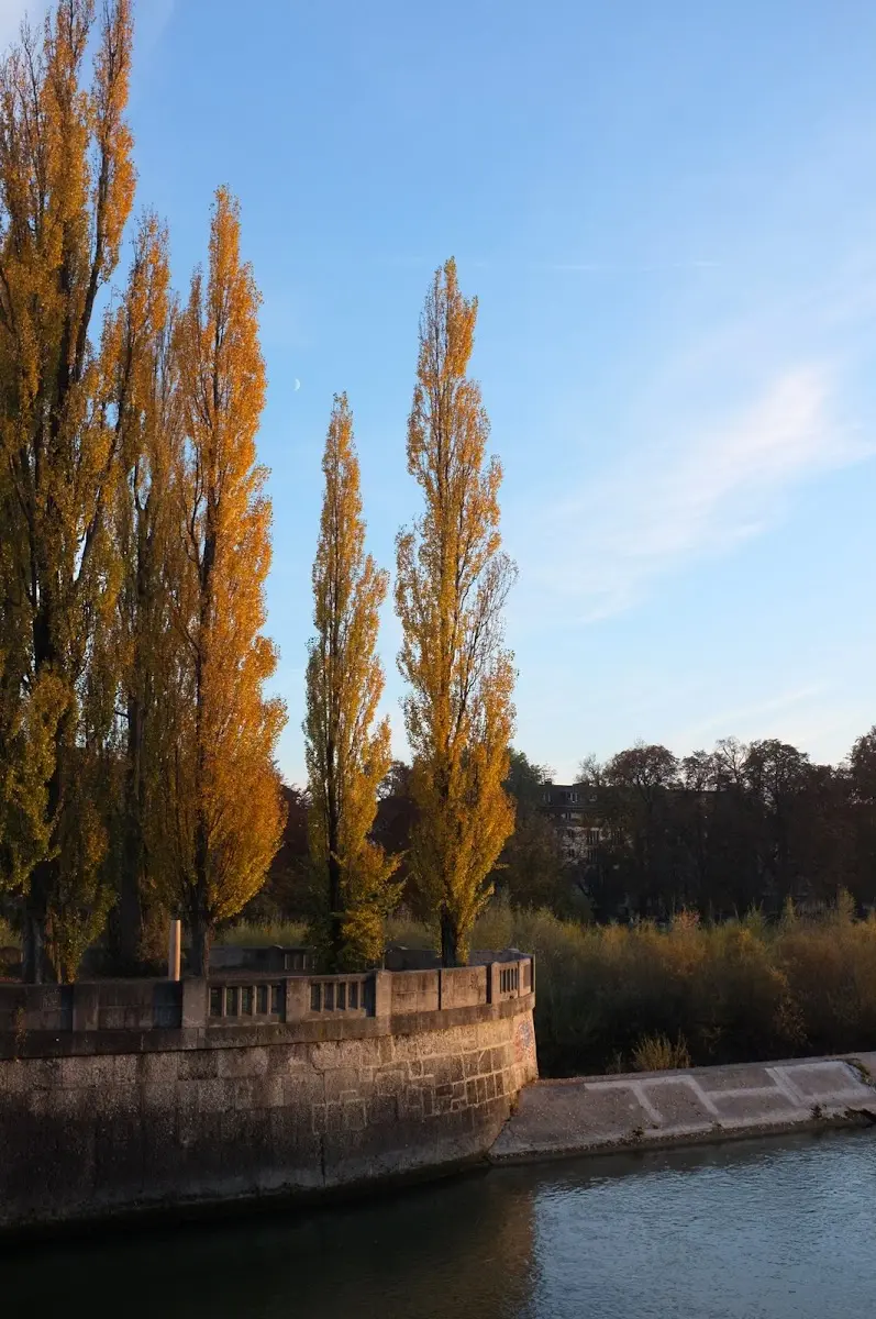 ein paar Bilder von heute nachmittag von einer kleinen Radto… – Foto 13