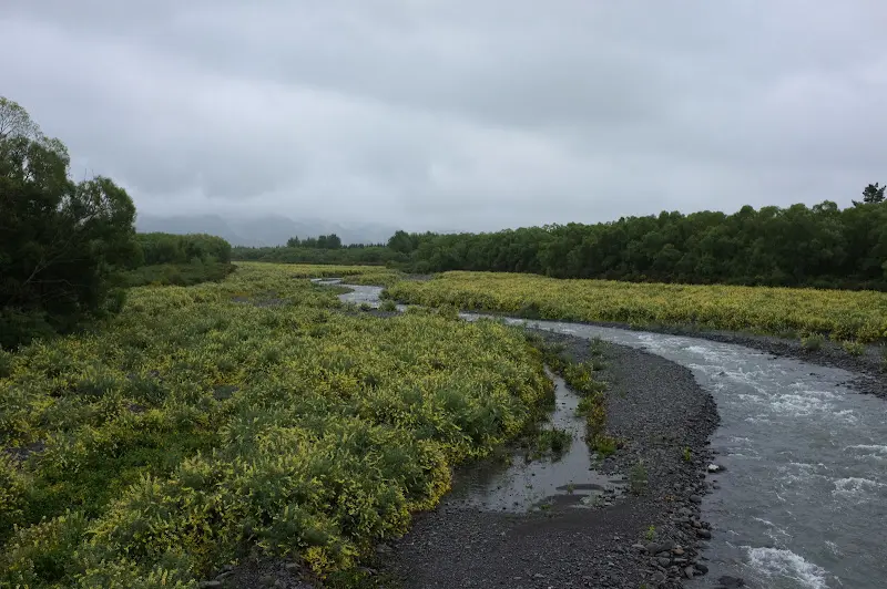 Neuseeland 2011/12, Wasser, Regenwald und Küste – Foto 1