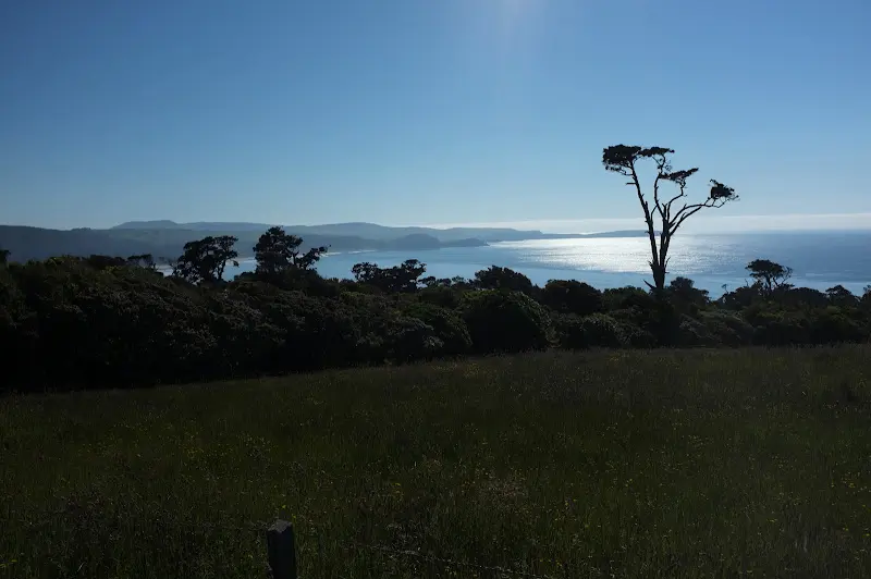 Neuseeland 2011/12, Wasser, Regenwald und Küste – Foto 11