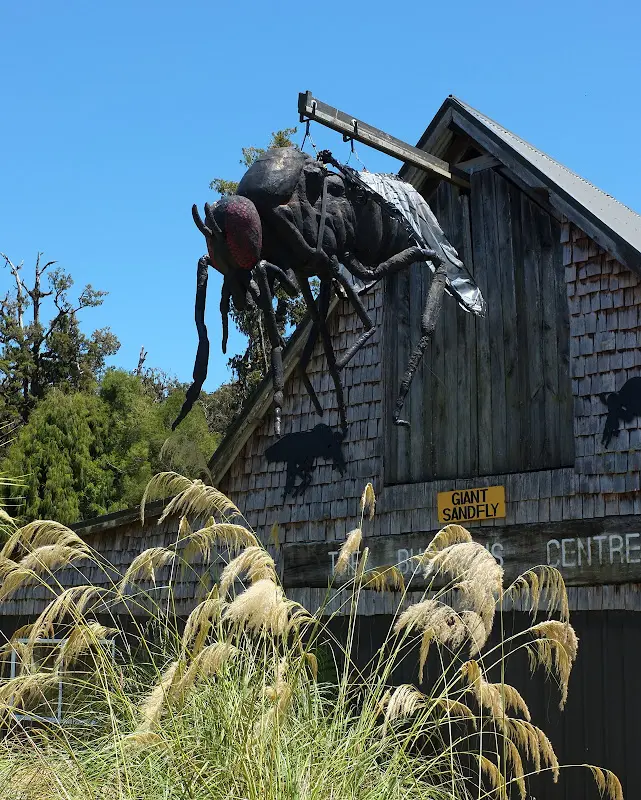 Neuseeland 2011/12, Tiere unterwegs – Foto 6