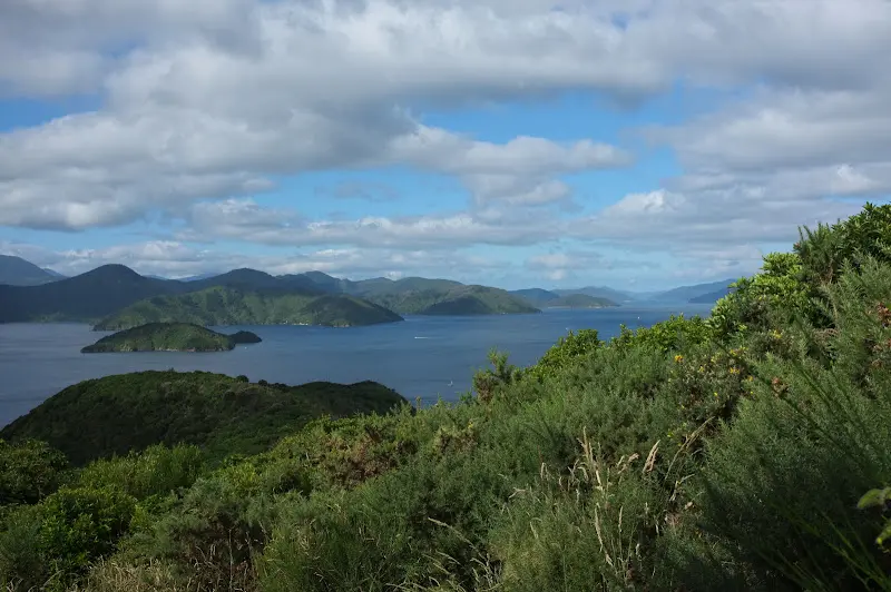 Neuseeland 2011/12, Wasser, Regenwald und Küste – Foto 7
