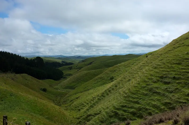 Neuseeland 2011/12, Schnappschüsse entlang der Strasse – Foto 11