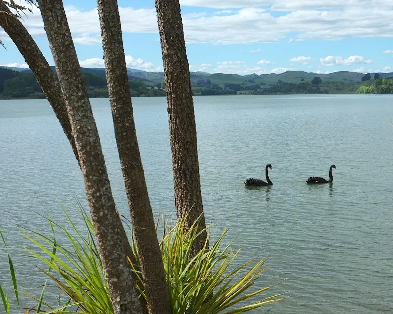 Neuseeland 2011/12, Wasser, Regenwald und Küste – Foto 6