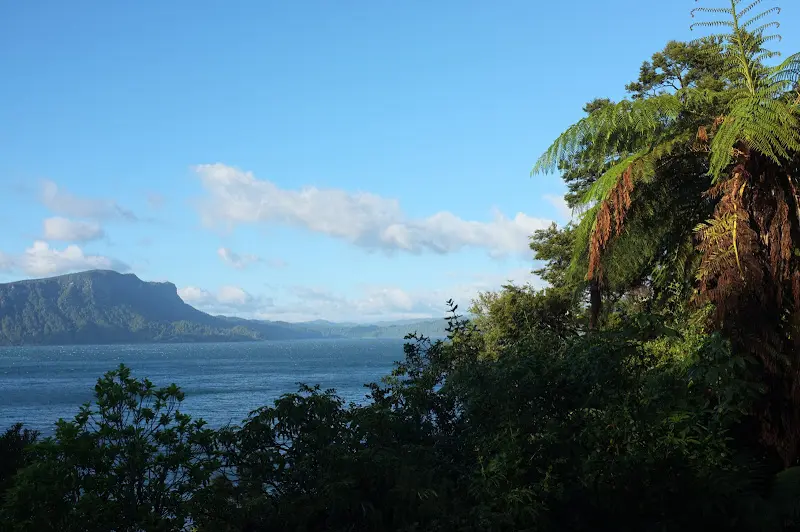 Neuseeland 2011/12, Wasser, Regenwald und Küste – Foto 5