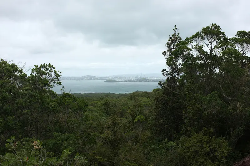 Neuseeland 2011/12, Vegetation auf Rangitoto – Foto 1