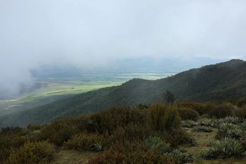 Christchurch – Foto 4
