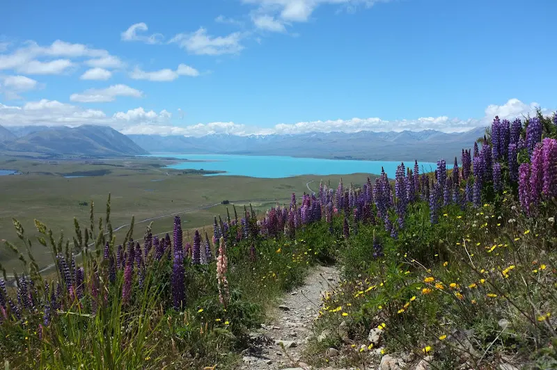 Lake Tekapo – Foto 7