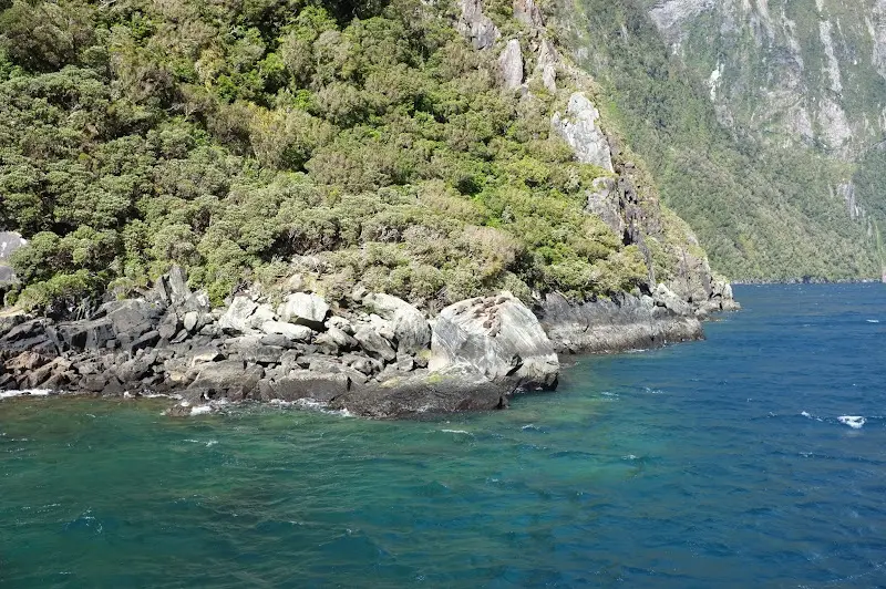 Milford Sound – Foto 9
