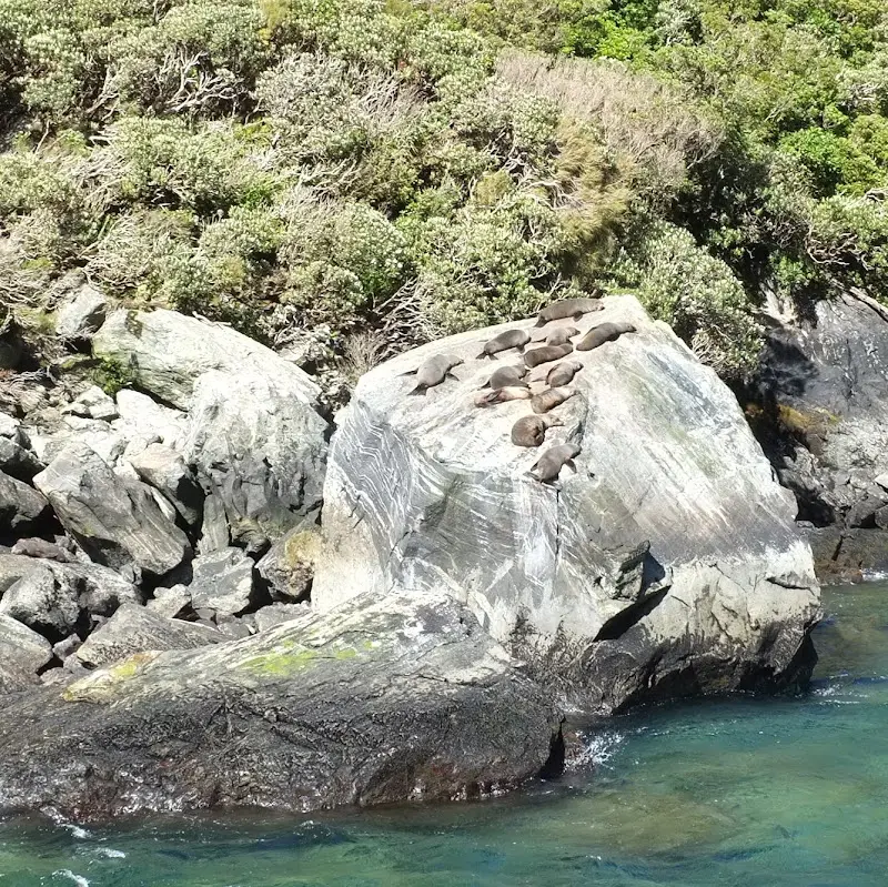 Milford Sound – Foto 10