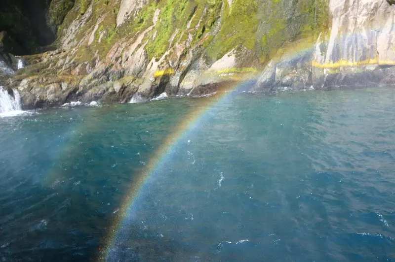 Milford Sound – Foto 13