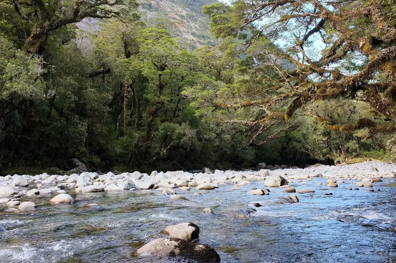 Milford Sound – Foto 18