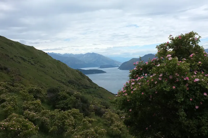 Lake Wanaka – Foto 4