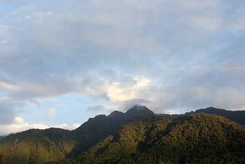 Franz Josef Glacier – Foto 11