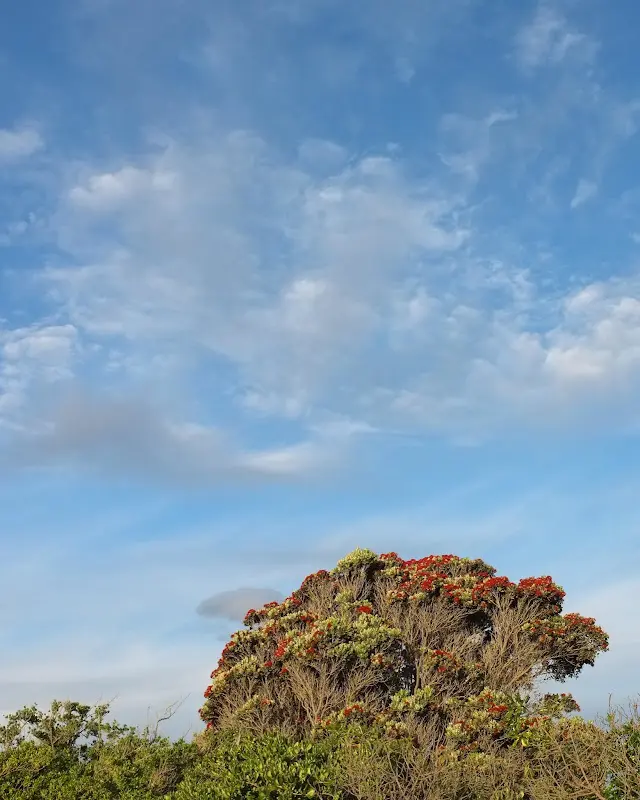 Greymouth – Foto 4