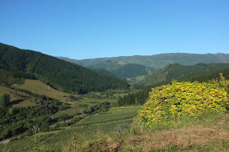 Abel Tasman – Foto 5