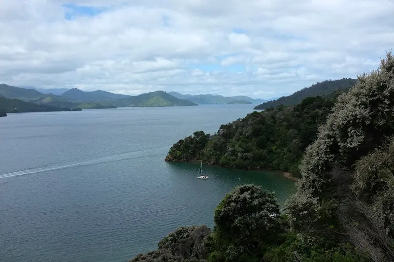 Picton – Foto 1