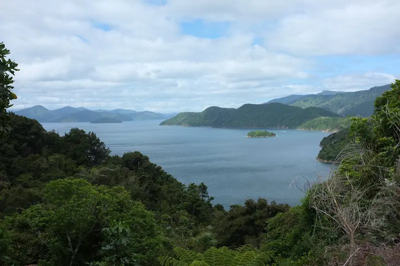 Picton – Foto 2
