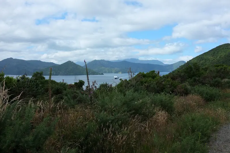 Picton – Foto 3